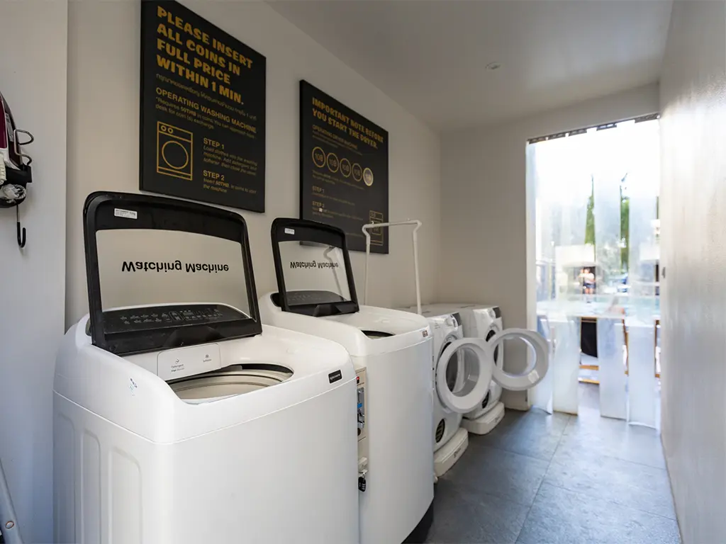 monkey laundry